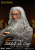 Beast Kingdom Lord of the Rings Dynamic 8ction Heroes Gandalf the Grey 1/9 Action Figure