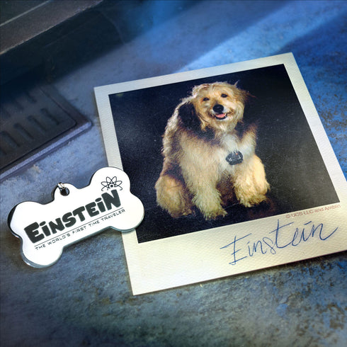 Doctor Collector Back To The Future Time Travel Memories II Expansion Kit