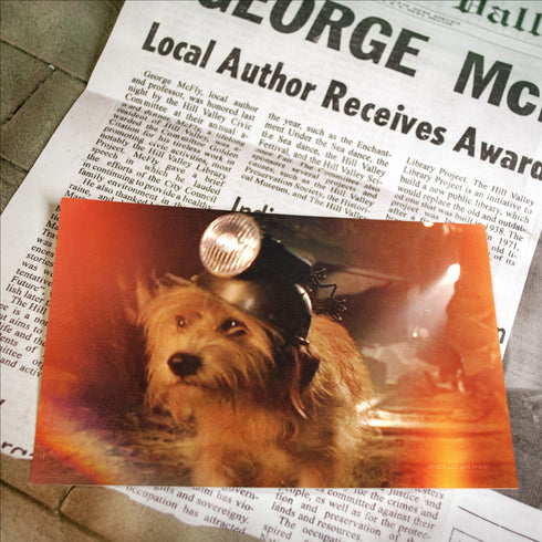 Doctor Collector Back To The Future Time Travel Memories II Expansion Kit