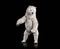 Four Horsemen Studios Mythic Legions Horror of Einsamall Isbjorn Polar Bear Mount Action Figure