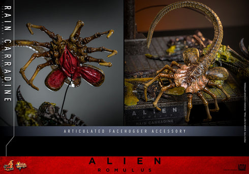 Hot Toys Rain Carradine - Alien: Romulus - MMS793 - 1/6 Scale Collectible Figure