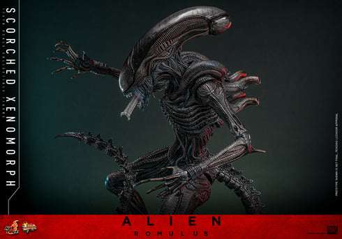 Hot Toys Alien: Romulus Scorched Xenomorph 1/6 Action Figure