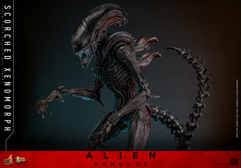 Hot Toys Alien: Romulus Scorched Xenomorph 1/6 Action Figure