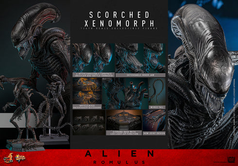 Hot Toys Alien: Romulus Scorched Xenomorph 1/6 Action Figure
