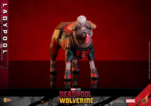 Hot Toys Ladypool - Deadpool & Wolverine - MMS747 - 1/6 Scale Collectible Figure