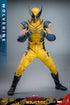 Hot Toys Wolverine - Deadpool & Wolverine - MMS753 - 1/6 Scale Collectible Figure