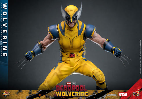 Hot Toys Wolverine - Deadpool & Wolverine - MMS753 - 1/6 Scale Collectible Figure