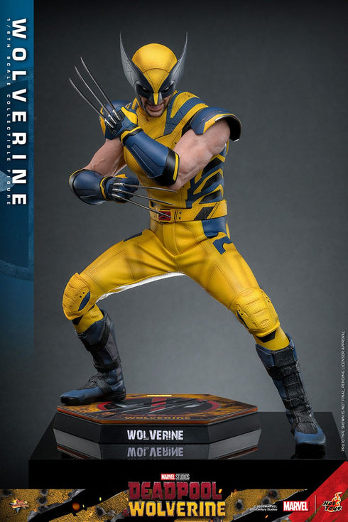 Hot Toys Wolverine - Deadpool & Wolverine - MMS753 - 1/6 Scale Collectible Figure