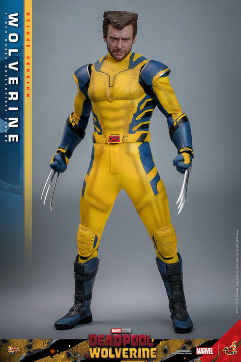 Hot Toys Wolverine (Deluxe Version) - Deadpool & Wolverine - MMS754 - 1/6 Scale Collectible Figure