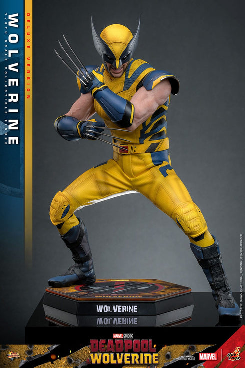 Hot Toys Wolverine (Deluxe Version) - Deadpool & Wolverine - MMS754 - 1/6 Scale Collectible Figure