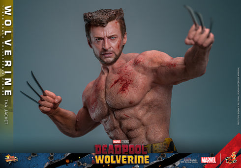 Hot Toys Wolverine (TVA Jacket Version) - Deadpool & Wolverine - MMS756 - 1/6 Scale Collectible Figure