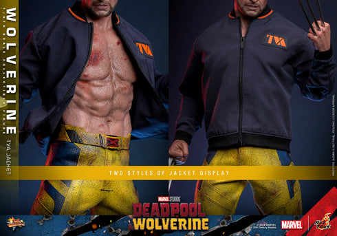 Hot Toys Wolverine (TVA Jacket Version) - Deadpool & Wolverine - MMS756 - 1/6 Scale Collectible Figure