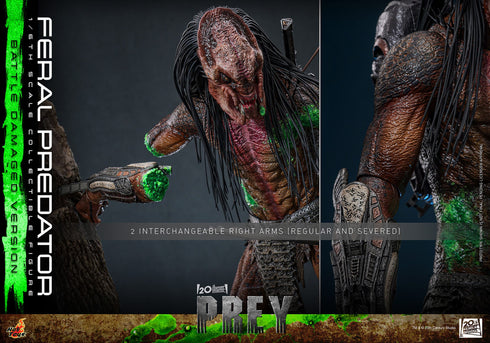Hot Toys Feral Predator (Battle Damaged Version) - Prey - TMS173 - 1/6 Scale Collectible Figure