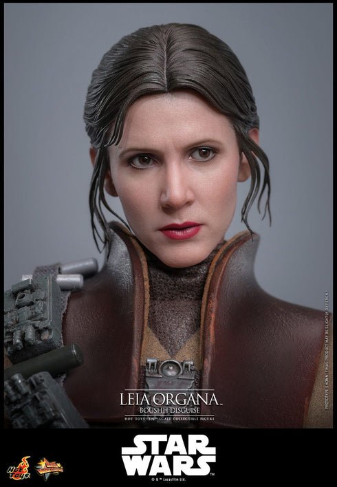Hot Toys Leia Organa (Boushh Disguise) - Star Wars: Episode VI - MMS854 - 1/6 Scale Collectible Figure