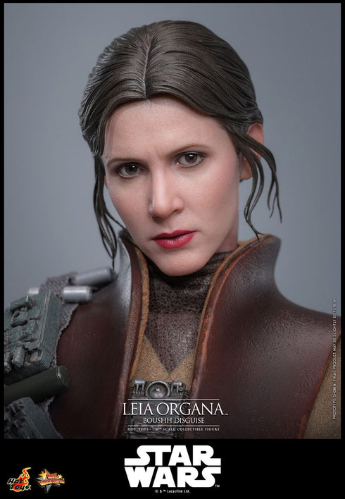 Hot Toys Leia Organa (Boushh Disguise) - Star Wars: Episode VI - MMS854 - 1/6 Scale Collectible Figure