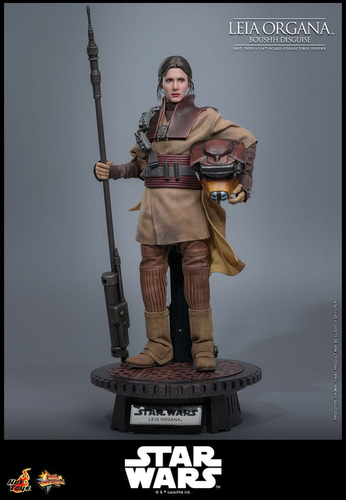 Hot Toys Leia Organa (Boushh Disguise) - Star Wars: Episode VI - MMS854 - 1/6 Scale Collectible Figure