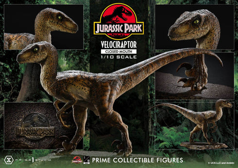 Prime 1 Studio Jurassic Park Velociraptor Closed Mouth Prime Collectibles 1/10 Statue
