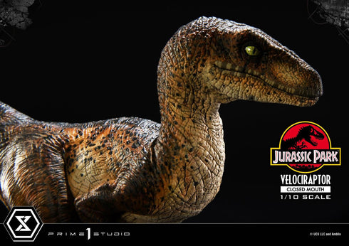 Prime 1 Studio Jurassic Park Velociraptor Closed Mouth Prime Collectibles 1/10 Statue