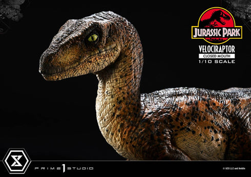 Prime 1 Studio Jurassic Park Velociraptor Closed Mouth Prime Collectibles 1/10 Statue