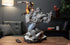 Sideshow Collectibles Marvel Grey Hulk vs Wolverine Statue