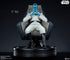 Sideshow Collectibles Star Wars Grand Admiral Thrawn Premium Format 1/4 Statue