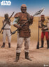 Sideshow Collectibles Star Wars Return of the Jedi Pagetti Rook 1/6 Action Figure