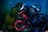 Sideshow Collectibles Venomized Hulk - Marvel Comics - SS300903 - Premium Format Collectible Statue