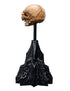 Weta Lord of the Rings Skull of Gollum Mini Statue