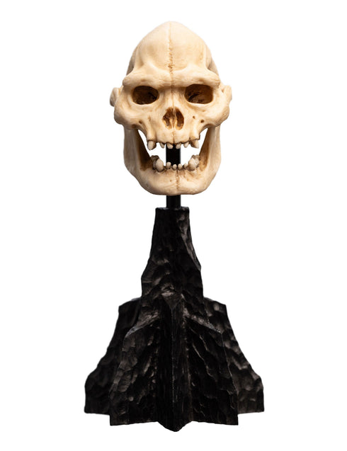 Weta Lord of the Rings Skull of Lurtz Mini Statue