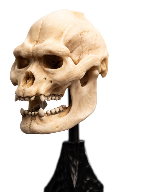 Weta Lord of the Rings Skull of Lurtz Mini Statue