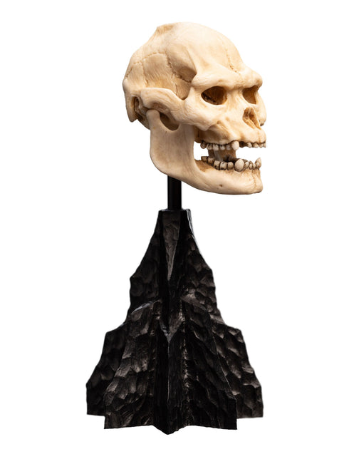 Weta Lord of the Rings Skull of Lurtz Mini Statue