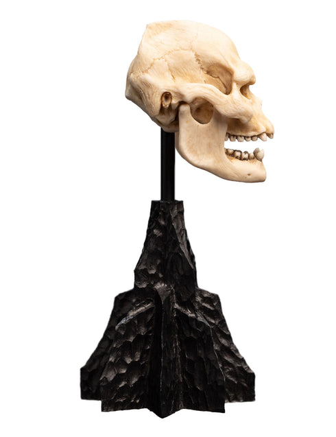 Weta Lord of the Rings Skull of Lurtz Mini Statue