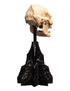Weta Lord of the Rings Skull of Lurtz Mini Statue