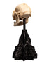 Weta Lord of the Rings Skull of Lurtz Mini Statue