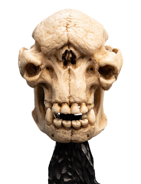 Weta Lord of the Rings Skull of a Cave Troll Mini Statue