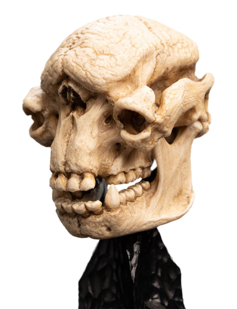 Weta Lord of the Rings Skull of a Cave Troll Mini Statue