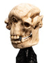 Weta Lord of the Rings Skull of a Cave Troll Mini Statue