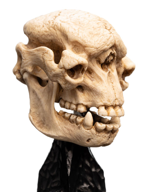 Weta Lord of the Rings Skull of a Cave Troll Mini Statue