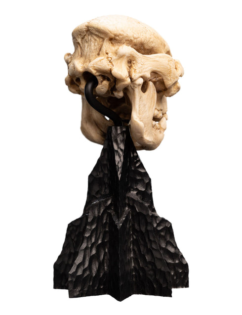 Weta Lord of the Rings Skull of a Cave Troll Mini Statue