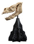 Weta Lord of the Rings Skull of a Fell Beast Mini Statue