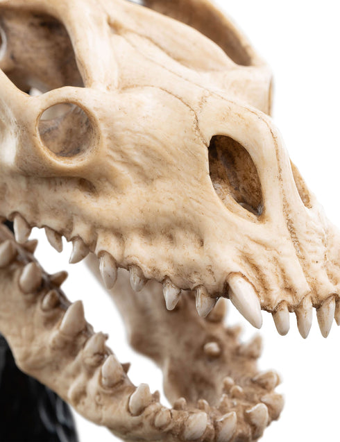 Weta Lord of the Rings Skull of a Fell Beast Mini Statue