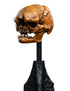 Weta Lord of the Rings Skull of a Misty Mountain Goblin Mini Statue