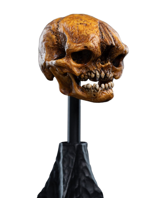 Weta Lord of the Rings Skull of a Misty Mountain Goblin Mini Statue