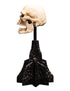 Weta Lord of the Rings Skull of a Mordor Orc Mini Statue