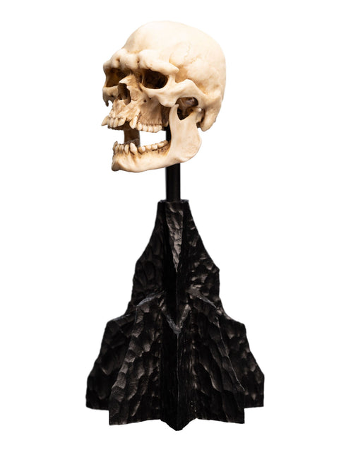 Weta Lord of the Rings Skull of a Mordor Orc Mini Statue