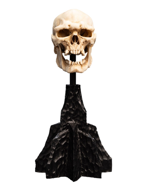 Weta Lord of the Rings Skull of a Mordor Orc Mini Statue