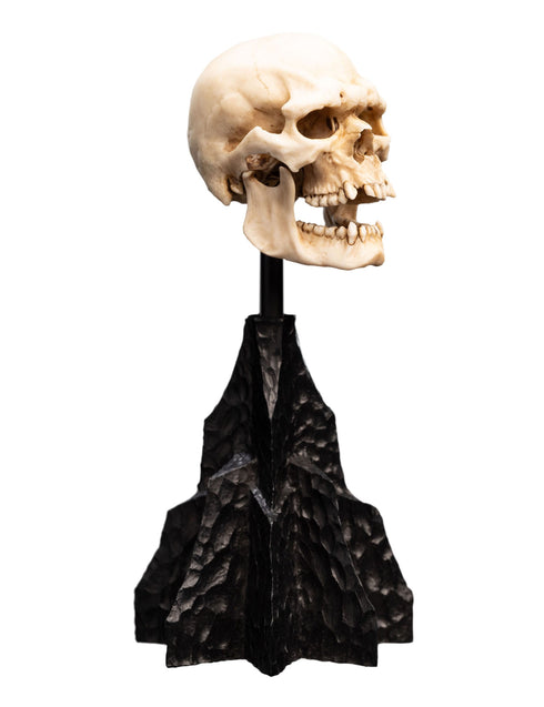 Weta Lord of the Rings Skull of a Mordor Orc Mini Statue