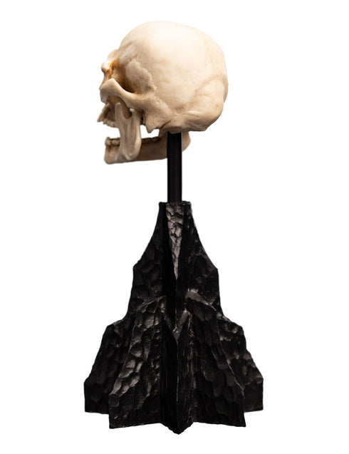 Weta Lord of the Rings Skull of a Mordor Orc Mini Statue