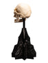 Weta Lord of the Rings Skull of a Mordor Orc Mini Statue