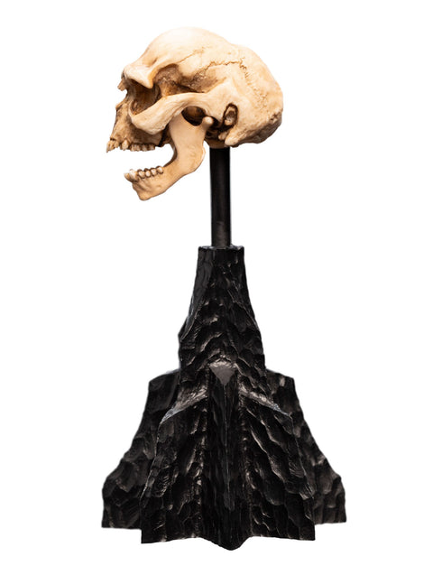 Weta Lord of the Rings Skull of a Moria Orc Mini Statue